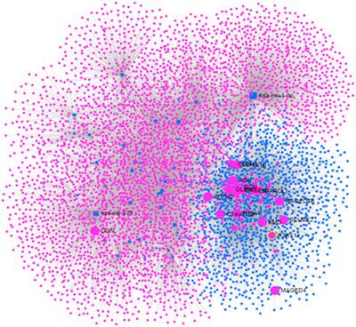 Computational approaches for discovering significant microRNAs, microRNA-mRNA regulatory pathways, and therapeutic protein targets in endometrial cancer